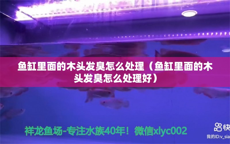 魚缸里面的木頭發(fā)臭怎么處理（魚缸里面的木頭發(fā)臭怎么處理好）