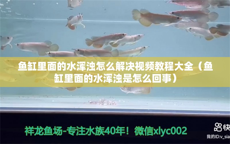 魚缸里面的水渾濁怎么解決視頻教程大全（魚缸里面的水渾濁是怎么回事）