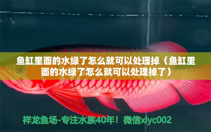 魚(yú)缸里面的水綠了怎么就可以處理掉（魚(yú)缸里面的水綠了怎么就可以處理掉了） 三間鼠魚(yú)苗