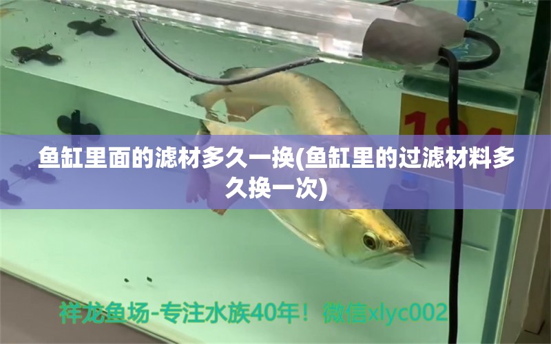 魚缸里面的濾材多久一換(魚缸里的過濾材料多久換一次)