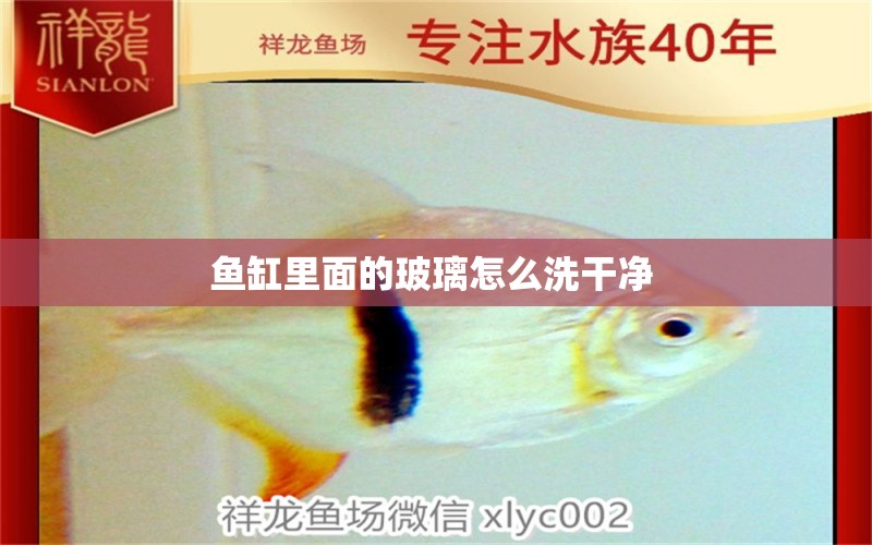 魚缸里面的玻璃怎么洗干凈 