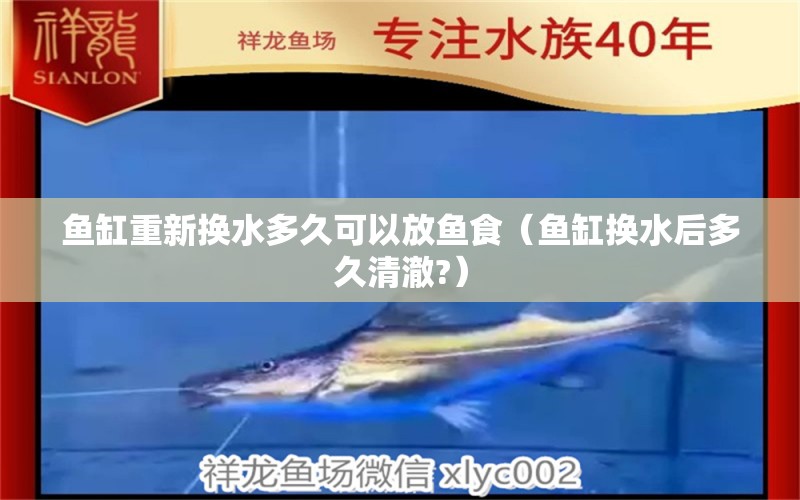 魚(yú)缸重新?lián)Q水多久可以放魚(yú)食（魚(yú)缸換水后多久清澈?）