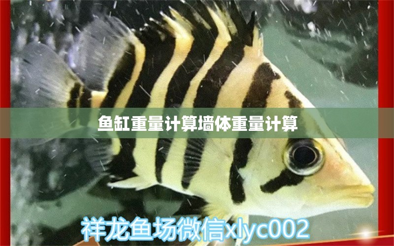 魚(yú)缸重量計(jì)算墻體重量計(jì)算