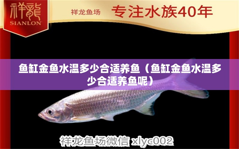 魚缸金魚水溫多少合適養(yǎng)魚（魚缸金魚水溫多少合適養(yǎng)魚呢）