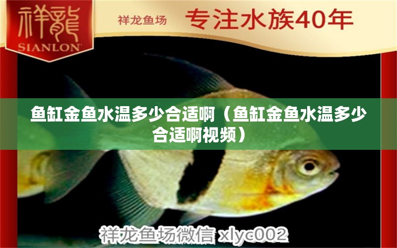 魚缸金魚水溫多少合適啊（魚缸金魚水溫多少合適啊視頻）