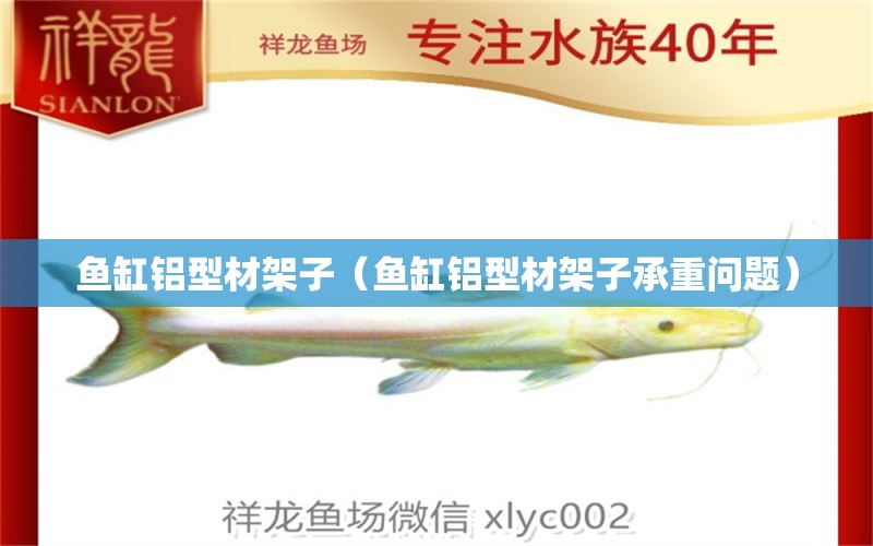 魚缸鋁型材架子（魚缸鋁型材架子承重問題） 魚缸百科