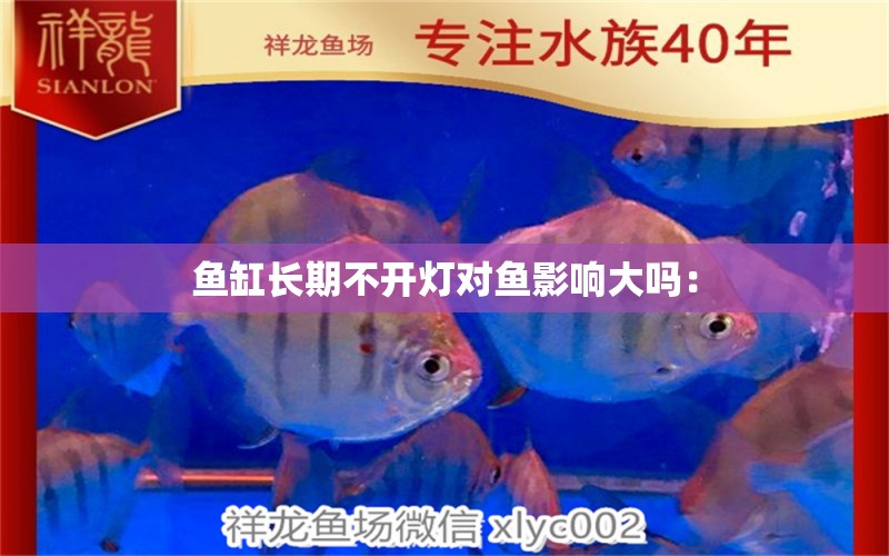 魚缸長期不開燈對魚影響大嗎： 觀賞魚