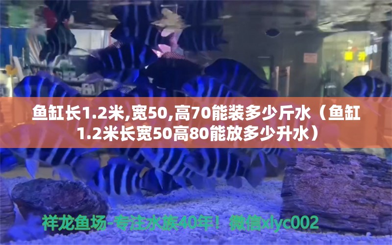 魚缸長1.2米,寬50,高70能裝多少斤水（魚缸1.2米長寬50高80能放多少升水）