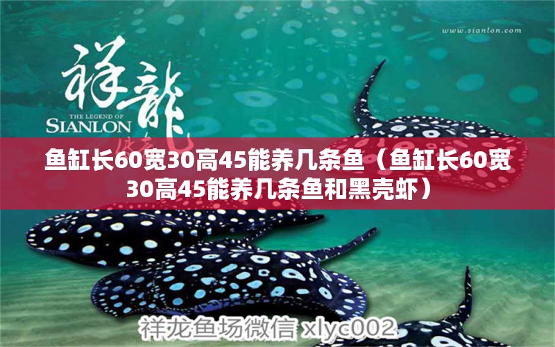 魚缸長60寬30高45能養(yǎng)幾條魚（魚缸長60寬30高45能養(yǎng)幾條魚和黑殼蝦） 觀賞魚市場（混養(yǎng)魚）