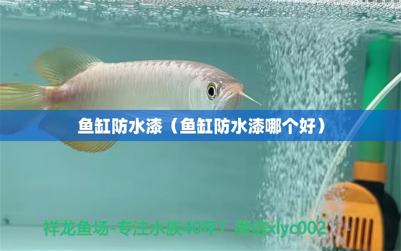 魚缸防水漆（魚缸防水漆哪個(gè)好）