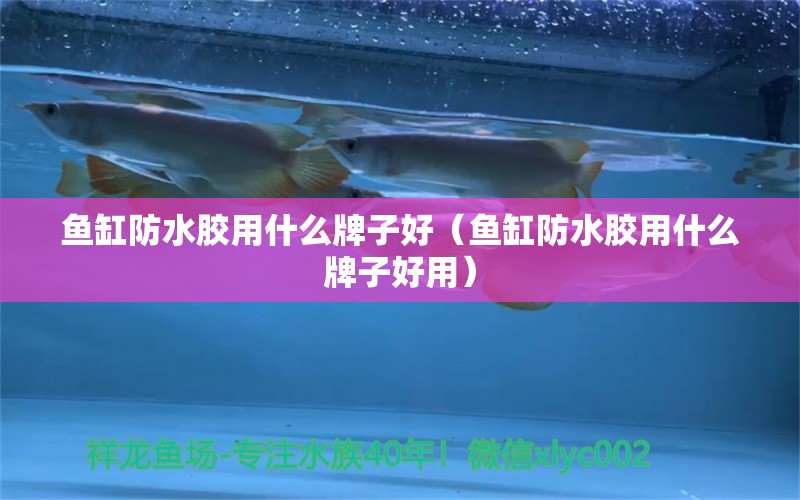 魚(yú)缸防水膠用什么牌子好（魚(yú)缸防水膠用什么牌子好用）