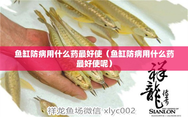 魚缸防病用什么藥最好使（魚缸防病用什么藥最好使呢）