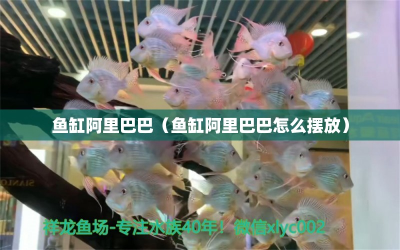 魚缸阿里巴巴（魚缸阿里巴巴怎么擺放） 其他品牌魚缸