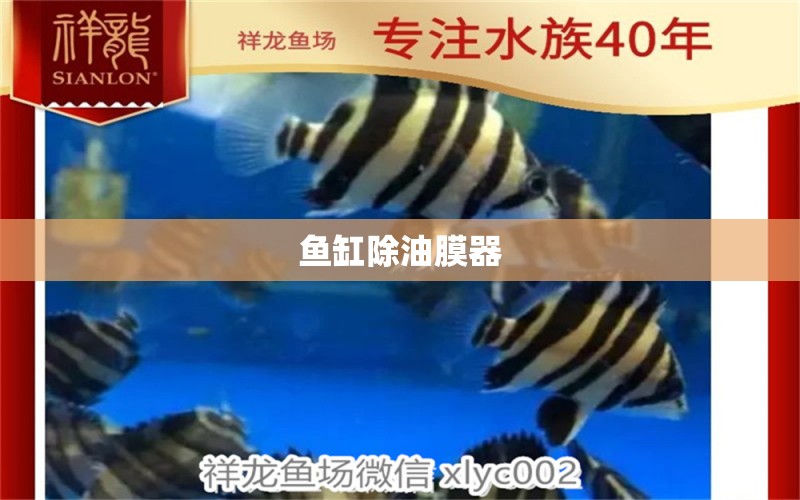 魚缸除油膜器 廣州水族器材濾材批發(fā)市場