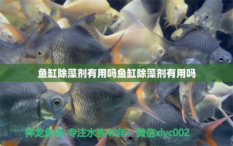 魚缸除藻劑有用嗎魚缸除藻劑有用嗎 充氧泵