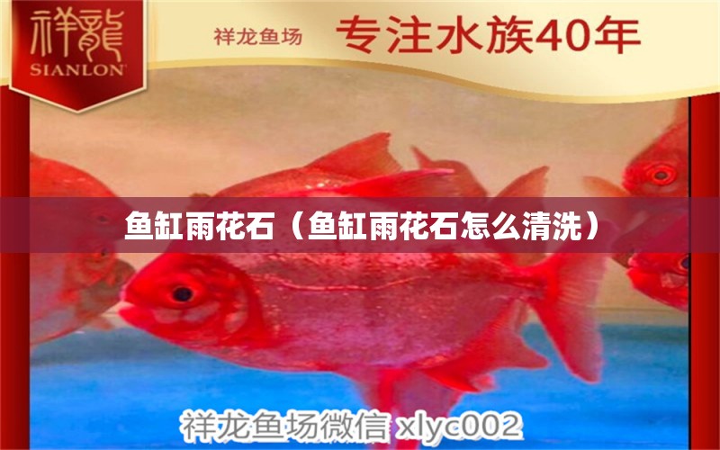 魚(yú)缸雨花石（魚(yú)缸雨花石怎么清洗）