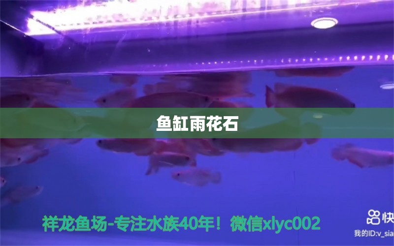 魚(yú)缸雨花石 廣州水族器材濾材批發(fā)市場(chǎng)