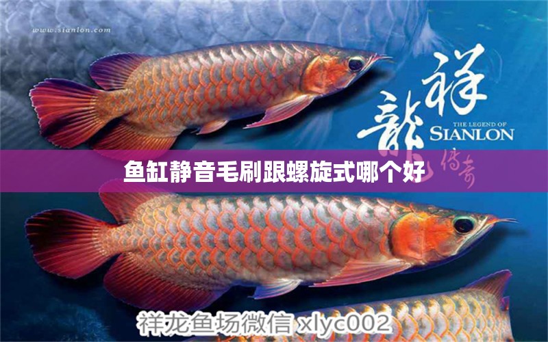 魚缸靜音毛刷跟螺旋式哪個好 祥龍魚場