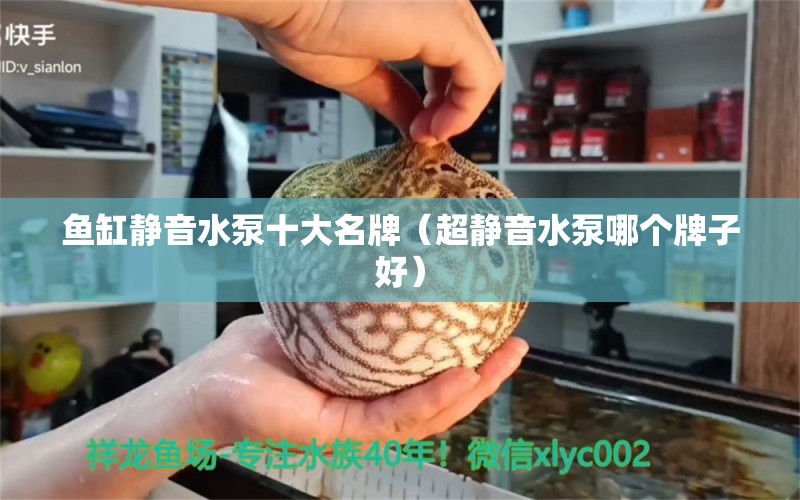 魚缸靜音水泵十大名牌（超靜音水泵哪個(gè)牌子好）