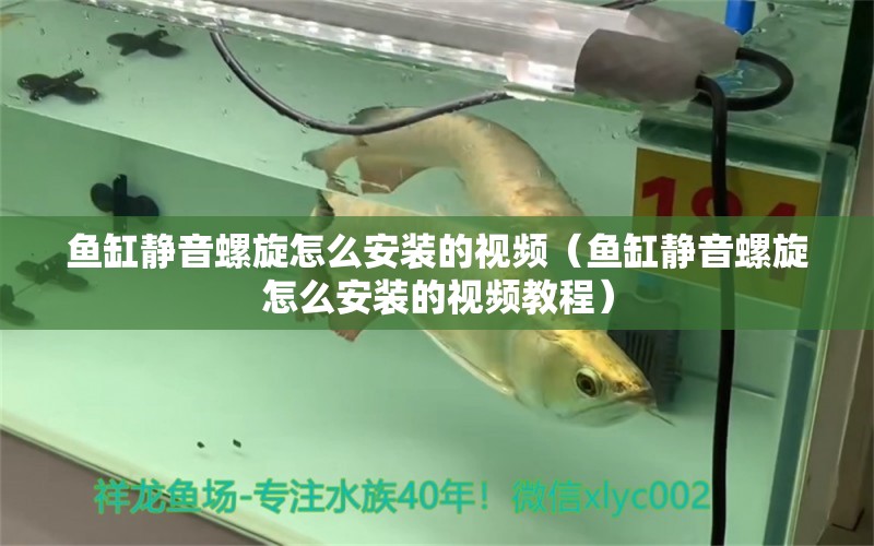 魚缸靜音螺旋怎么安裝的視頻（魚缸靜音螺旋怎么安裝的視頻教程） 委內(nèi)瑞拉奧里諾三間魚苗