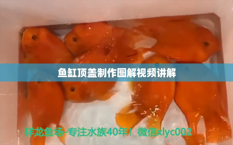 魚缸頂蓋制作圖解視頻講解