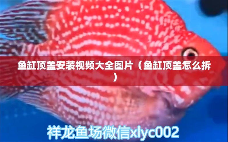 魚缸頂蓋安裝視頻大全圖片（魚缸頂蓋怎么拆） 過濾設備