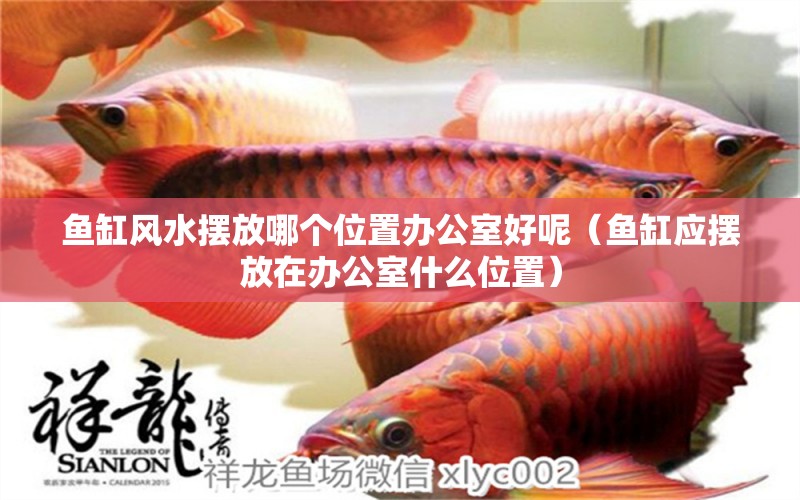 魚缸風(fēng)水?dāng)[放哪個(gè)位置辦公室好呢（魚缸應(yīng)擺放在辦公室什么位置）