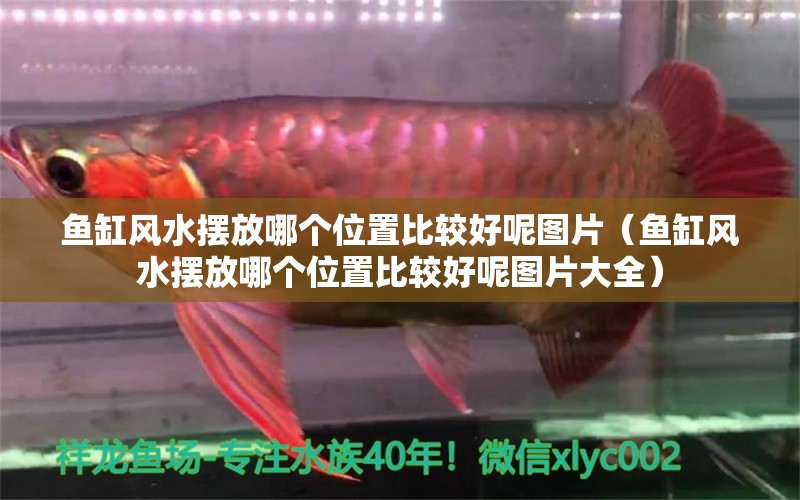 魚缸風(fēng)水?dāng)[放哪個位置比較好呢圖片（魚缸風(fēng)水?dāng)[放哪個位置比較好呢圖片大全） 魚缸風(fēng)水