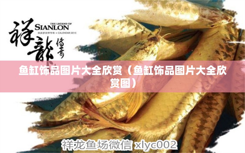 魚缸飾品圖片大全欣賞（魚缸飾品圖片大全欣賞圖） 祥龍水族醫(yī)院