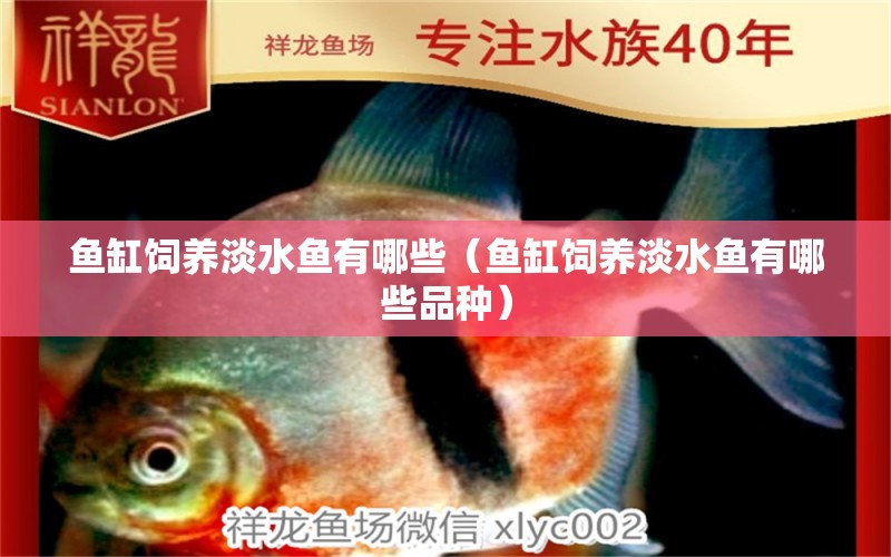 魚缸飼養(yǎng)淡水魚有哪些（魚缸飼養(yǎng)淡水魚有哪些品種）