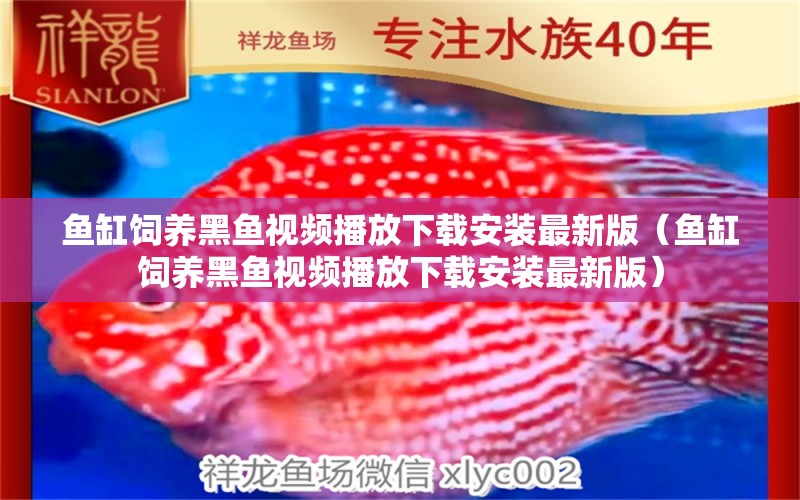 魚缸飼養(yǎng)黑魚視頻播放下載安裝最新版（魚缸飼養(yǎng)黑魚視頻播放下載安裝最新版）