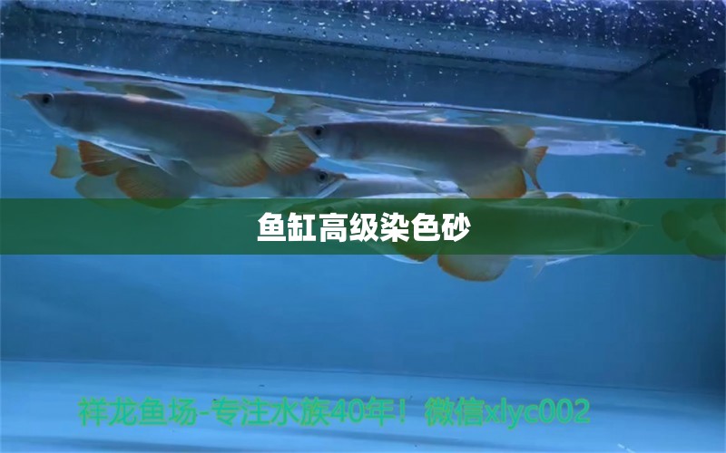 魚缸高級染色砂