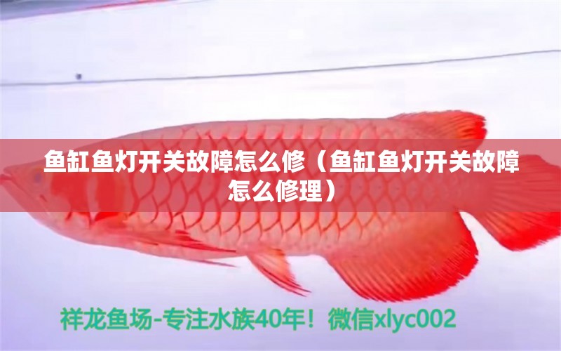 魚缸魚燈開關(guān)故障怎么修（魚缸魚燈開關(guān)故障怎么修理）