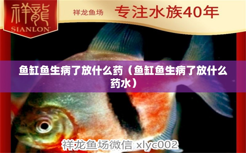 魚缸魚生病了放什么藥（魚缸魚生病了放什么藥水）