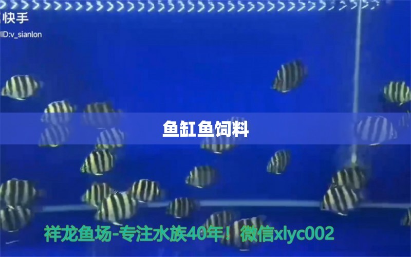 魚缸魚飼料 祥龍魚場