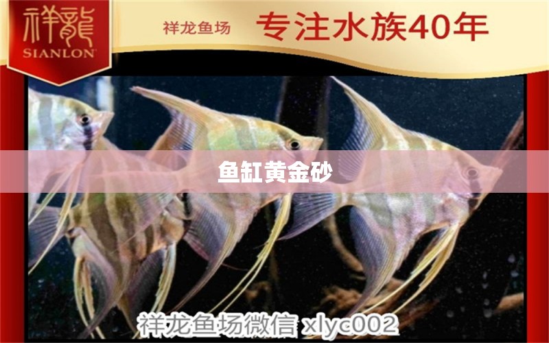 魚缸黃金砂 廣州水族器材濾材批發(fā)市場(chǎng)