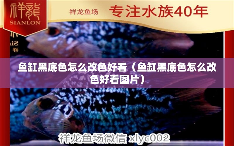 魚缸黑底色怎么改色好看（魚缸黑底色怎么改色好看圖片）