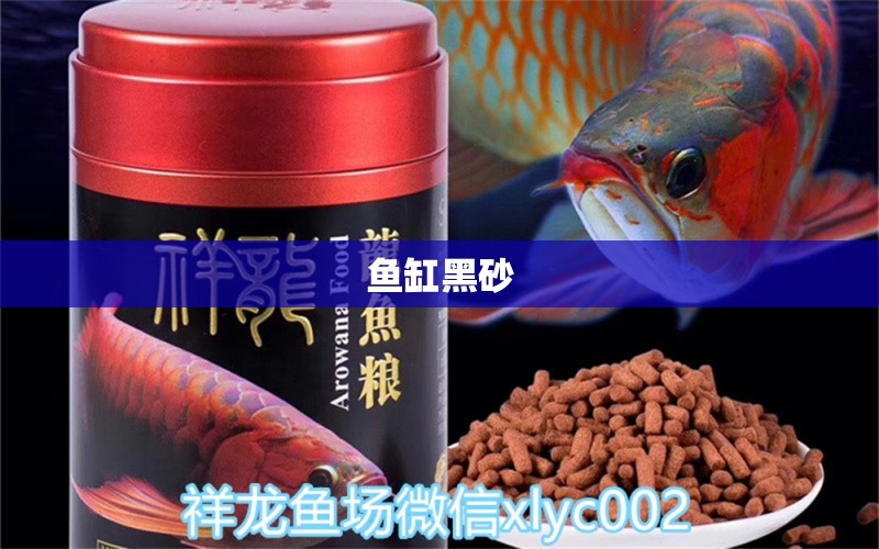 魚缸黑砂 廣州水族器材濾材批發(fā)市場(chǎng)