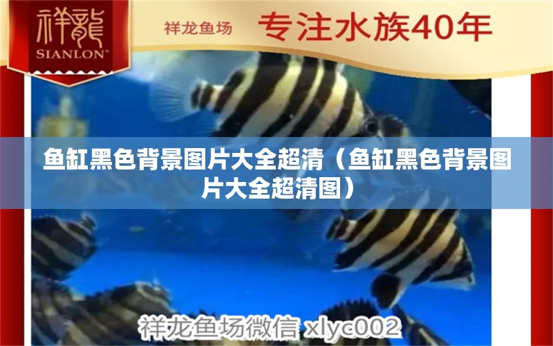 魚缸黑色背景圖片大全超清（魚缸黑色背景圖片大全超清圖）