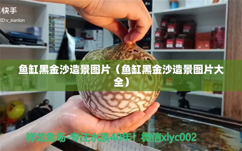 魚缸黑金沙造景圖片（魚缸黑金沙造景圖片大全） 觀賞魚市場（混養(yǎng)魚）