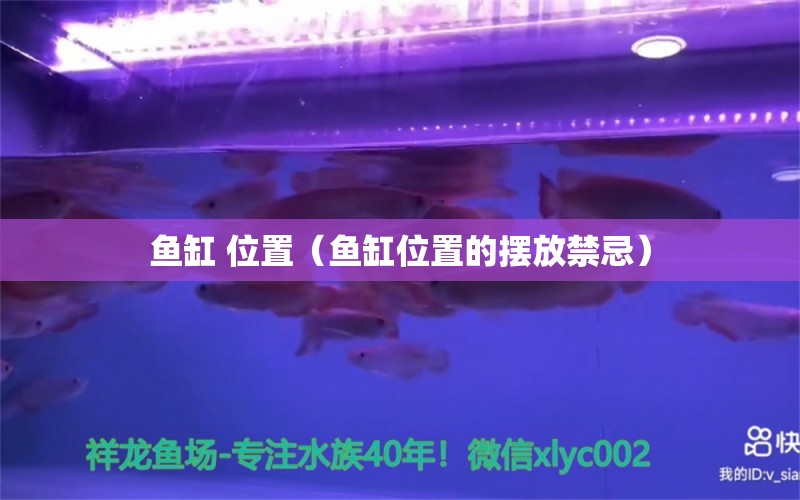 魚缸 位置（魚缸位置的擺放禁忌）