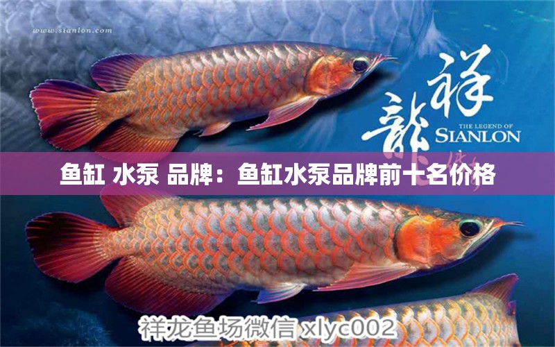 魚缸 水泵 品牌：魚缸水泵品牌前十名價格 魚缸水泵