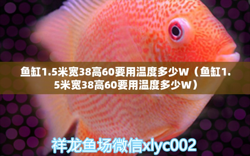 魚(yú)缸1.5米寬38高60要用溫度多少W（魚(yú)缸1.5米寬38高60要用溫度多少W）