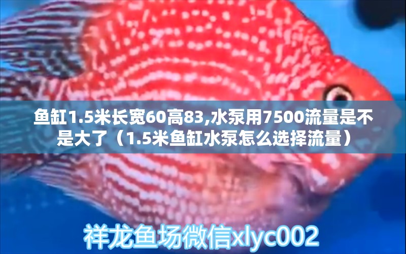 魚缸1.5米長寬60高83,水泵用7500流量是不是大了（1.5米魚缸水泵怎么選擇流量） 魚缸水泵