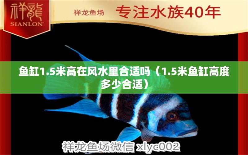 魚缸1.5米高在風(fēng)水里合適嗎（1.5米魚缸高度多少合適）