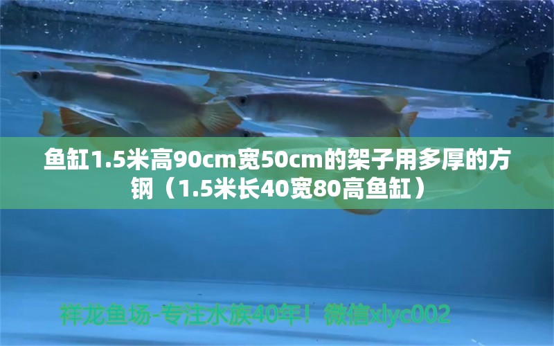 魚缸1.5米高90cm寬50cm的架子用多厚的方鋼（1.5米長(zhǎng)40寬80高魚缸） 魚缸百科