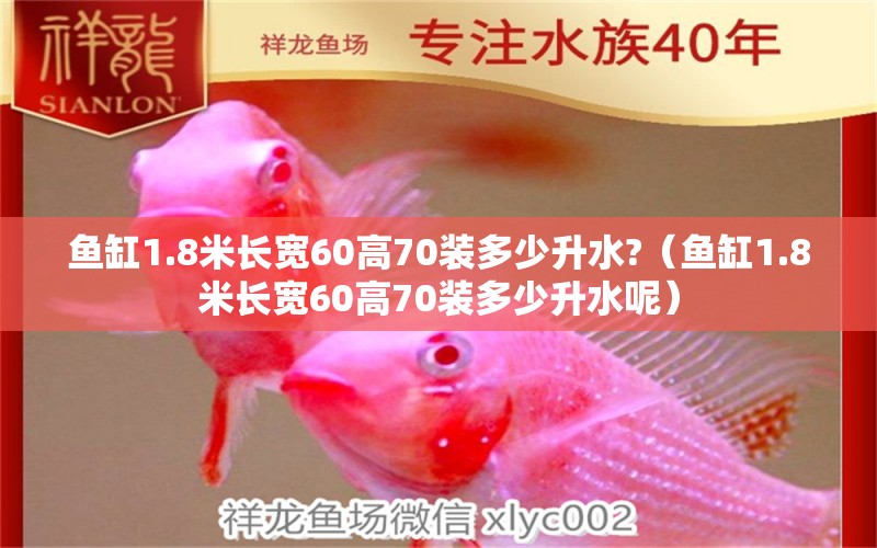 魚缸1.8米長(zhǎng)寬60高70裝多少升水?（魚缸1.8米長(zhǎng)寬60高70裝多少升水呢） 其他品牌魚缸