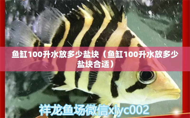 魚缸100升水放多少鹽塊（魚缸100升水放多少鹽塊合適）