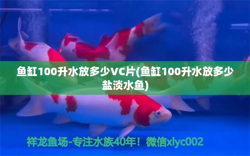 魚缸100升水放多少VC片(魚缸100升水放多少鹽淡水魚) 大白鯊魚苗 第1張