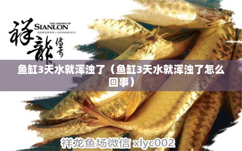 魚缸3天水就渾濁了（魚缸3天水就渾濁了怎么回事） 印尼虎苗